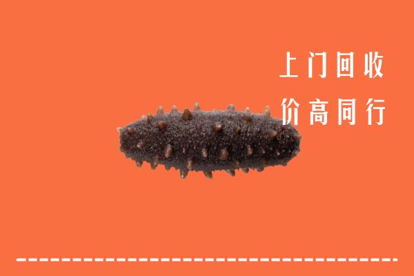 高价求购：武汉黄陂区回收海参