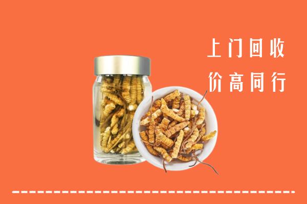 收购行情：武汉黄陂区回收冬虫夏草